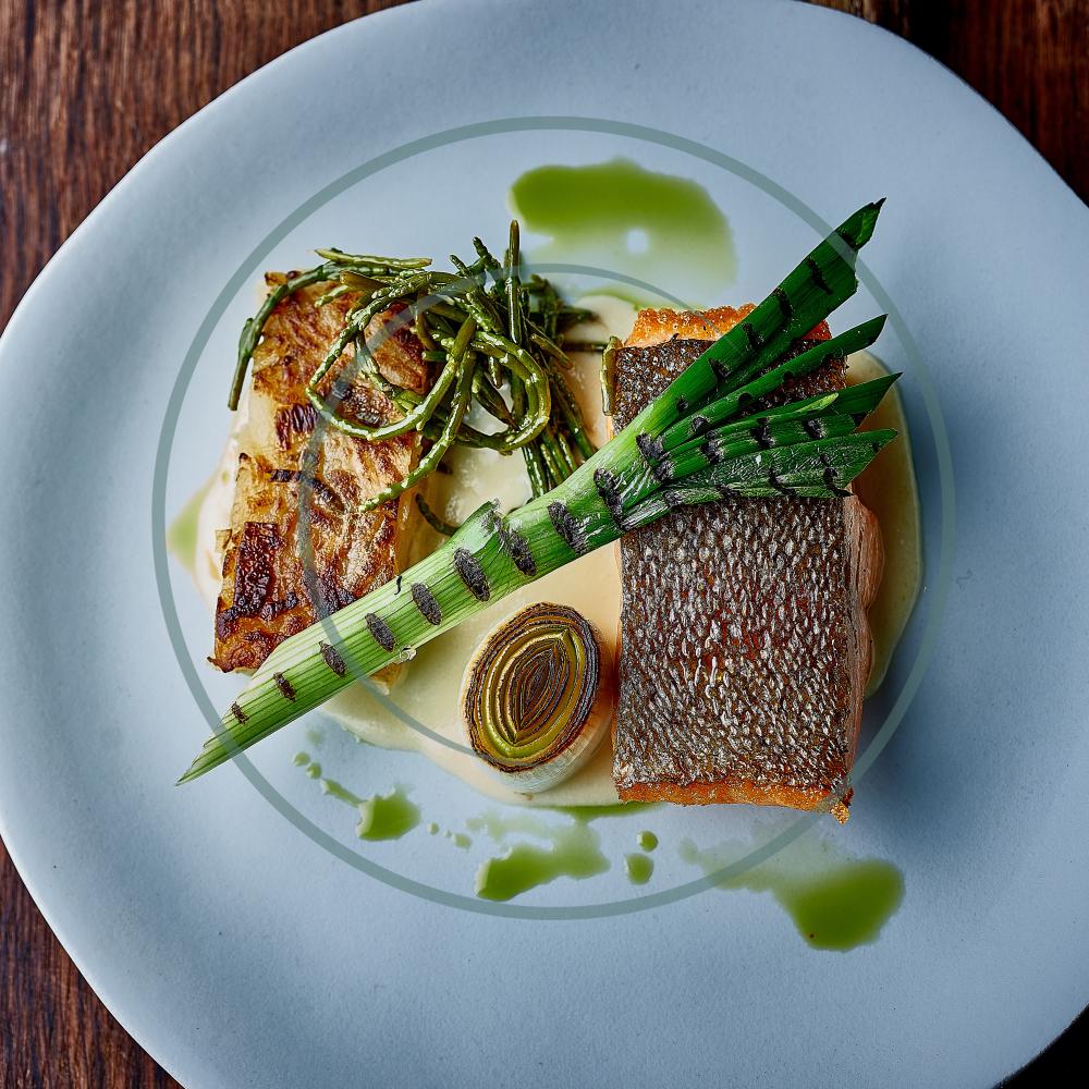 salmon darne